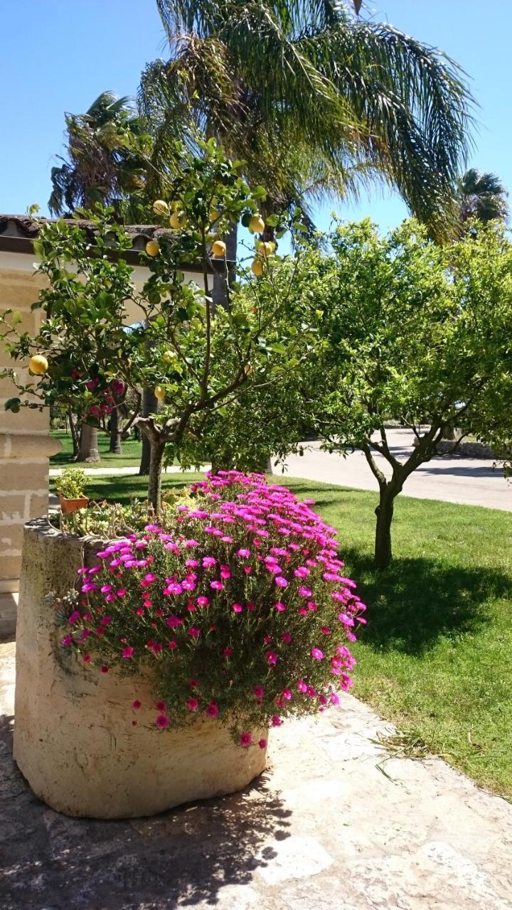 Agriturismo Torrevecchia San Pancrazio Salentino Kültér fotó