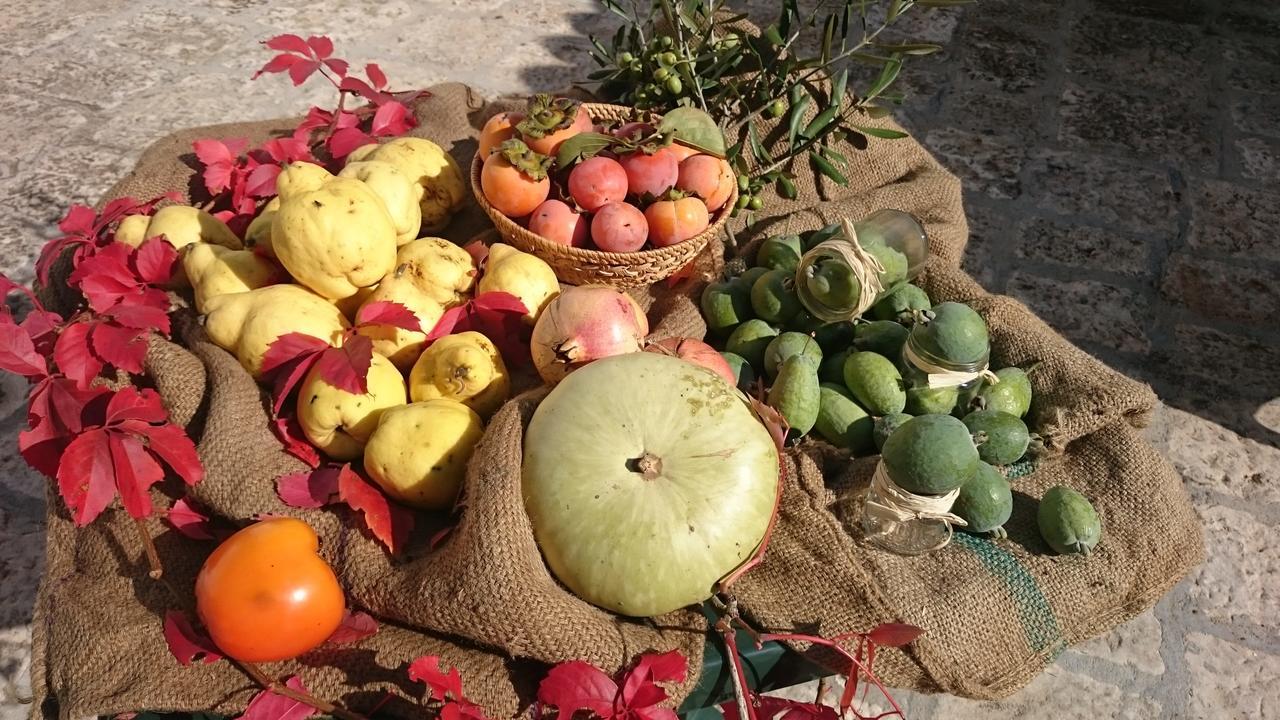 Agriturismo Torrevecchia San Pancrazio Salentino Kültér fotó